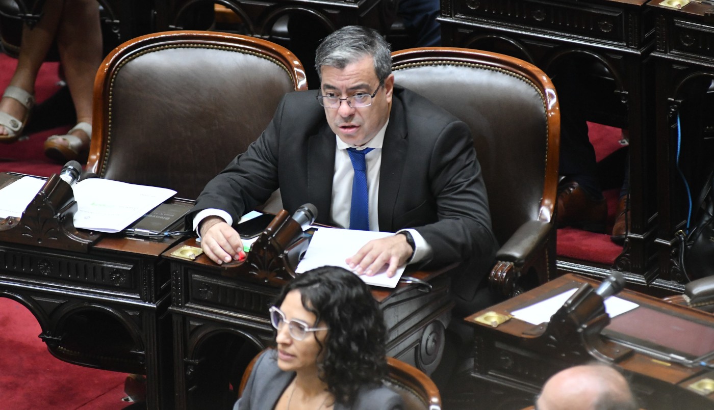 Germán Martínez: "La estrategia parlamentaria de La Libertad Avanza es un fracaso" | Política y Economía