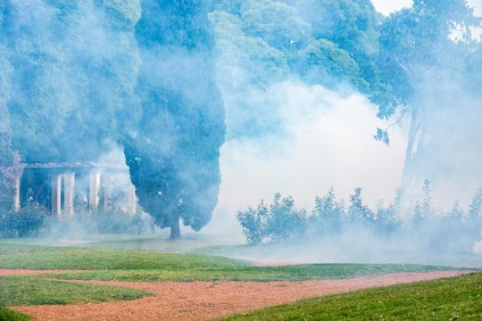 Continúan los operativos de fumigación en espacios verdes | Rosario y la región