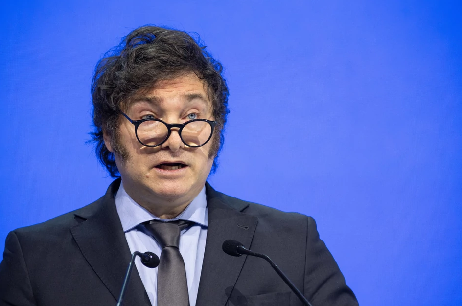 Milei se despegó de Benegas Lynch: "Es una frase absolutamente desafortunada" | Política y Economía