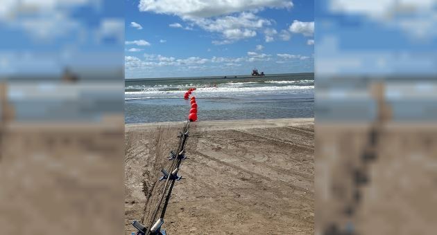 Google: el cable submarino Firmina llegó a la Argentina | Información General