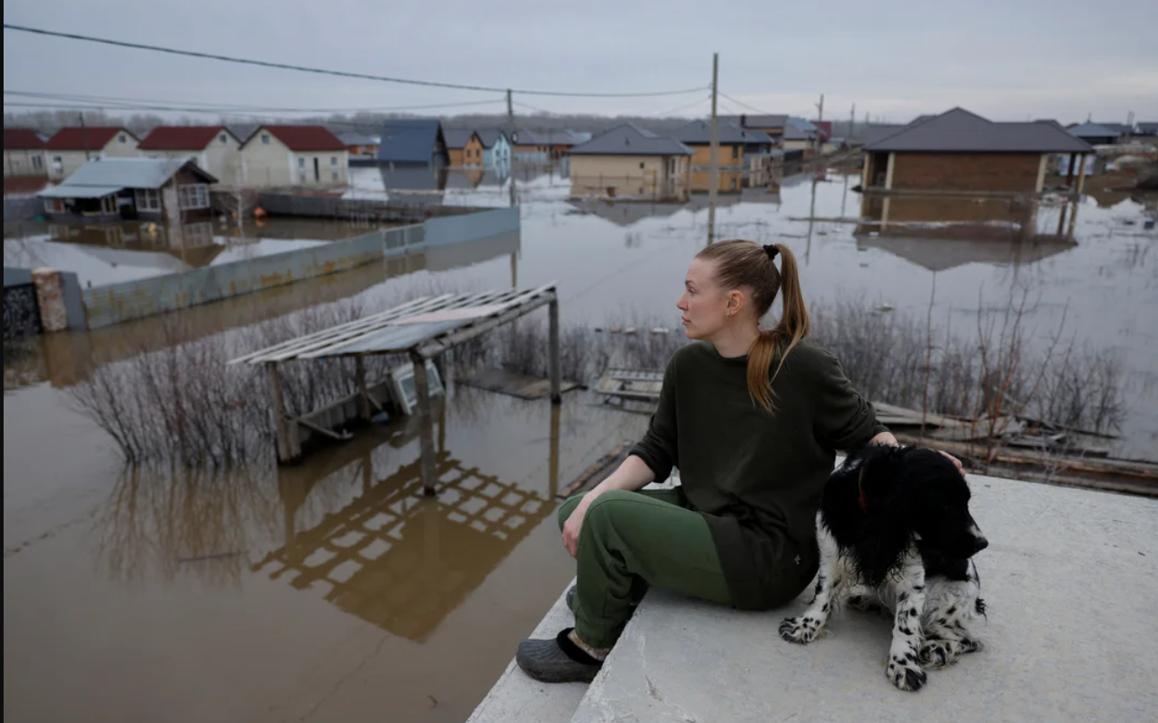 "Arca de Noé": el drama del refugio de animales en una ciudad inundada | Internacionales
