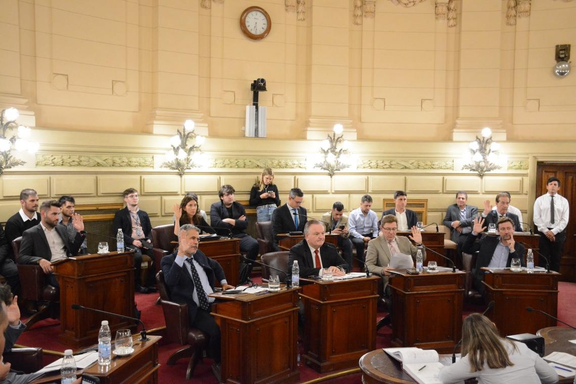 El Senado aprobó la creación de una Comisión Bicameral | Política y Economía