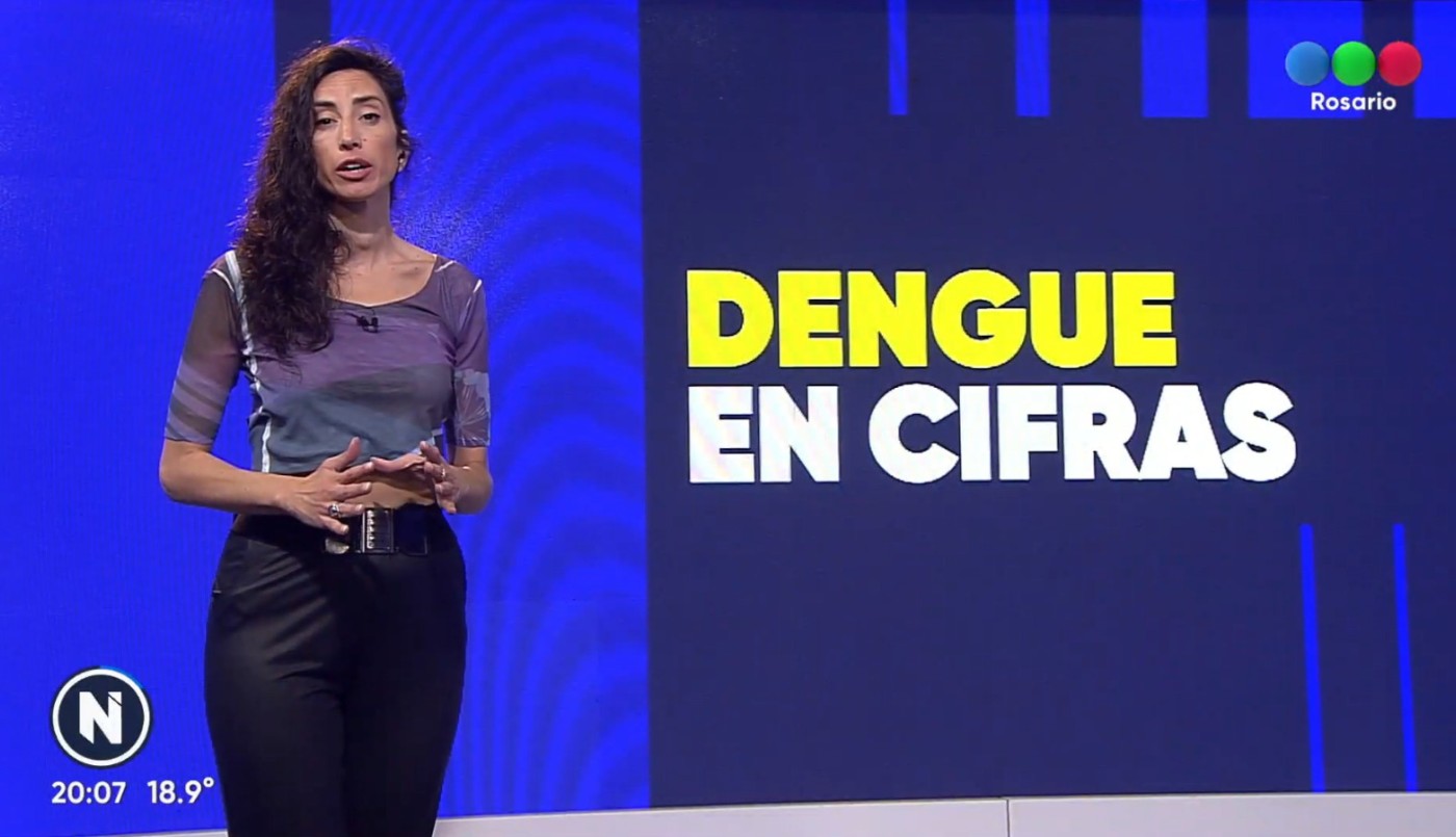 Dengue: confirman un leve descenso de casos | Rosario y la región