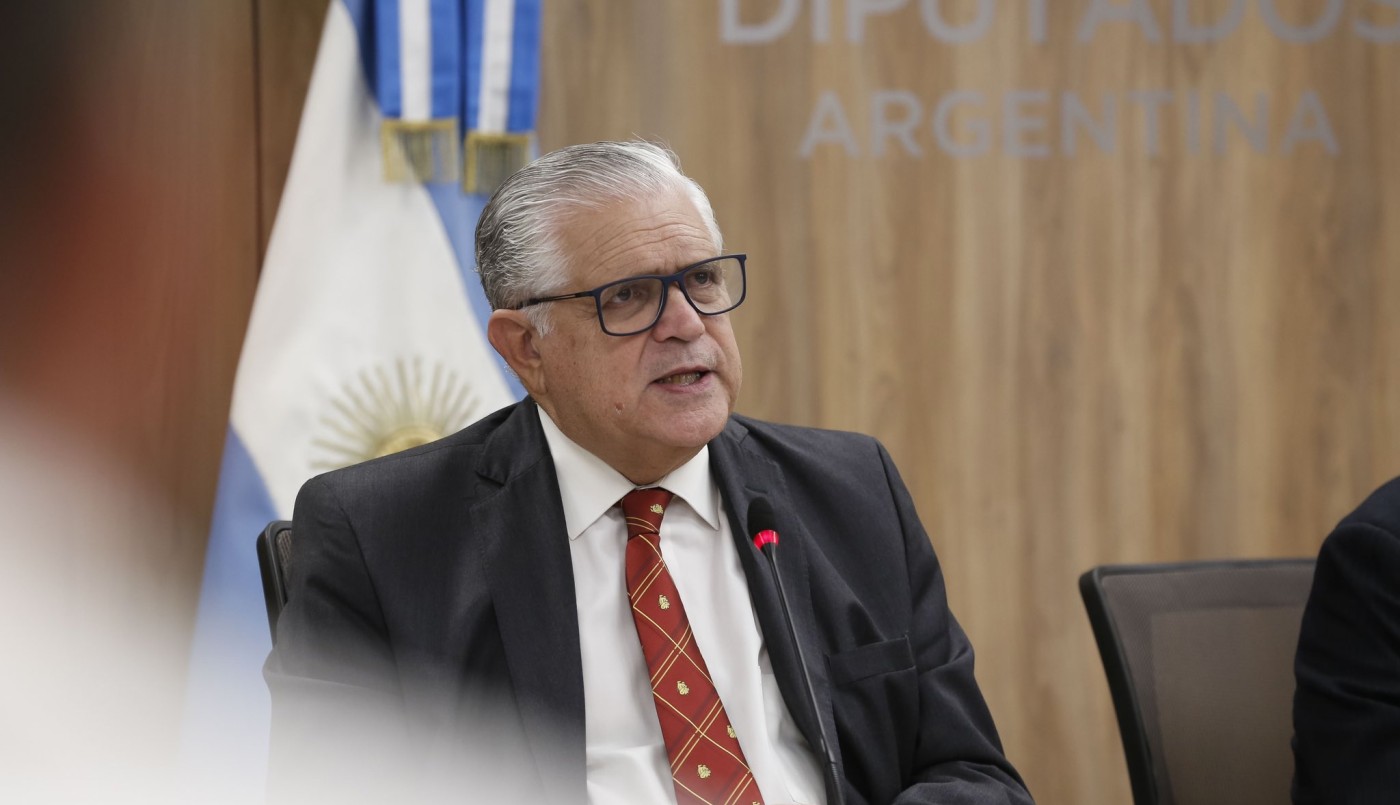 López Murphy sobre la ley de Bases: "Vamos a votar para que el Gobierno tenga los instrumentos" | Política y Economía