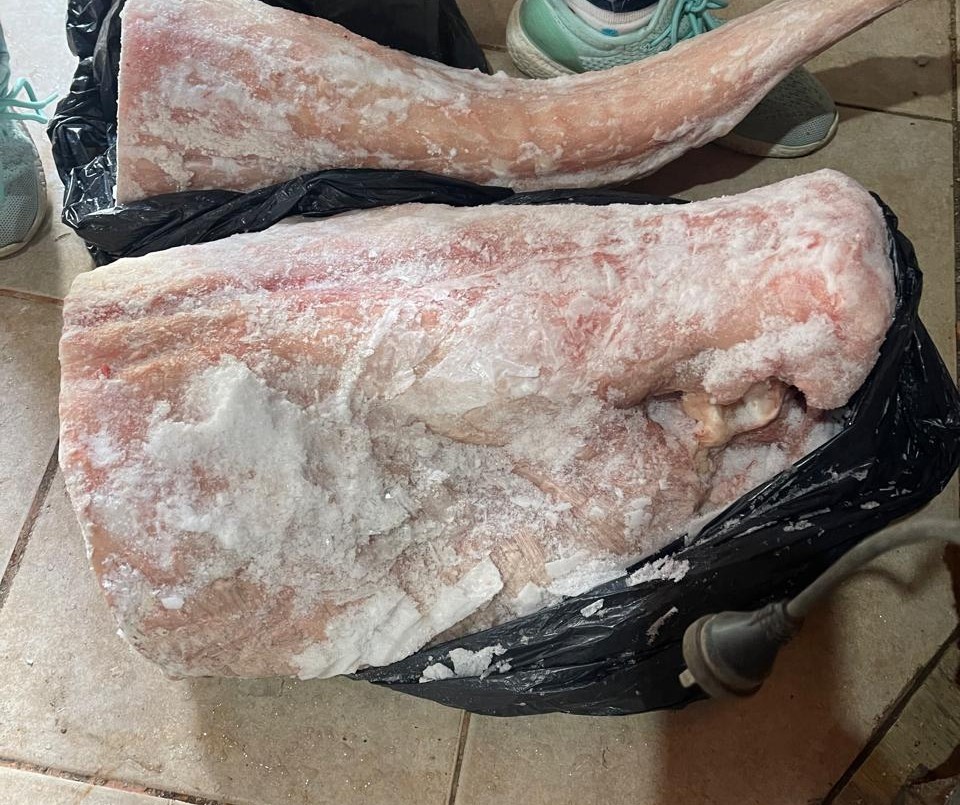 Allanamiento en Puerto San Martín por venta de carne de animales silvestres | Rosario y la región