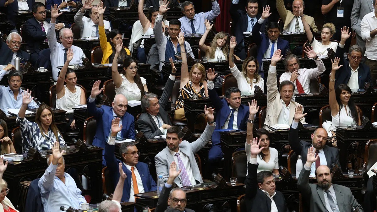 Ley de Bases: claves sobre monotributo, jubilación y pensión, blanqueo laboral | Información General