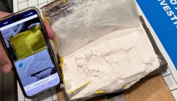 Incautaron un kilo de cocaína con el sello del delfín dentro del shopping de Liniers | Información General