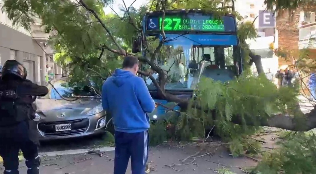 Un árbol cayó sobre un colectivo: una pasajera herida | Rosario y la región