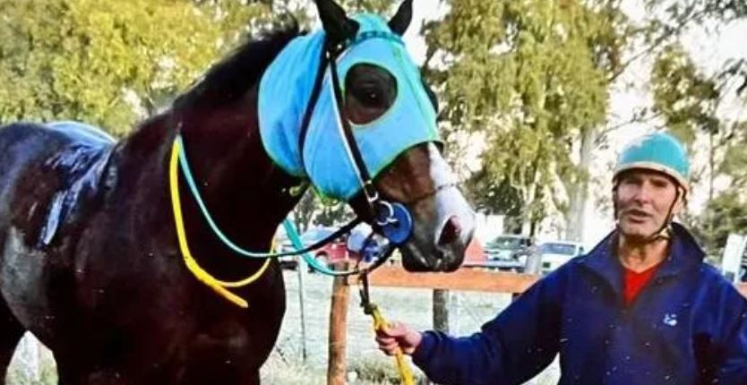 Envenenaron un caballo pura sangre en un stud y acusan a su cuidador | Información General