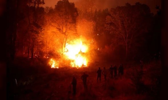La Corte chilena imputó a un ex bombero y a un ex trabajador forestal por el megaincendio en Valparaíso | Internacionales