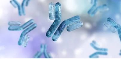 La primera iniciativa del mundo para producir anticuerpos monoclonales es argentina | Información General