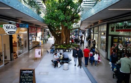 El consumo en la era Milei: ¿cómo cubre la clase media el poder adquisitivo perdido? | Información General