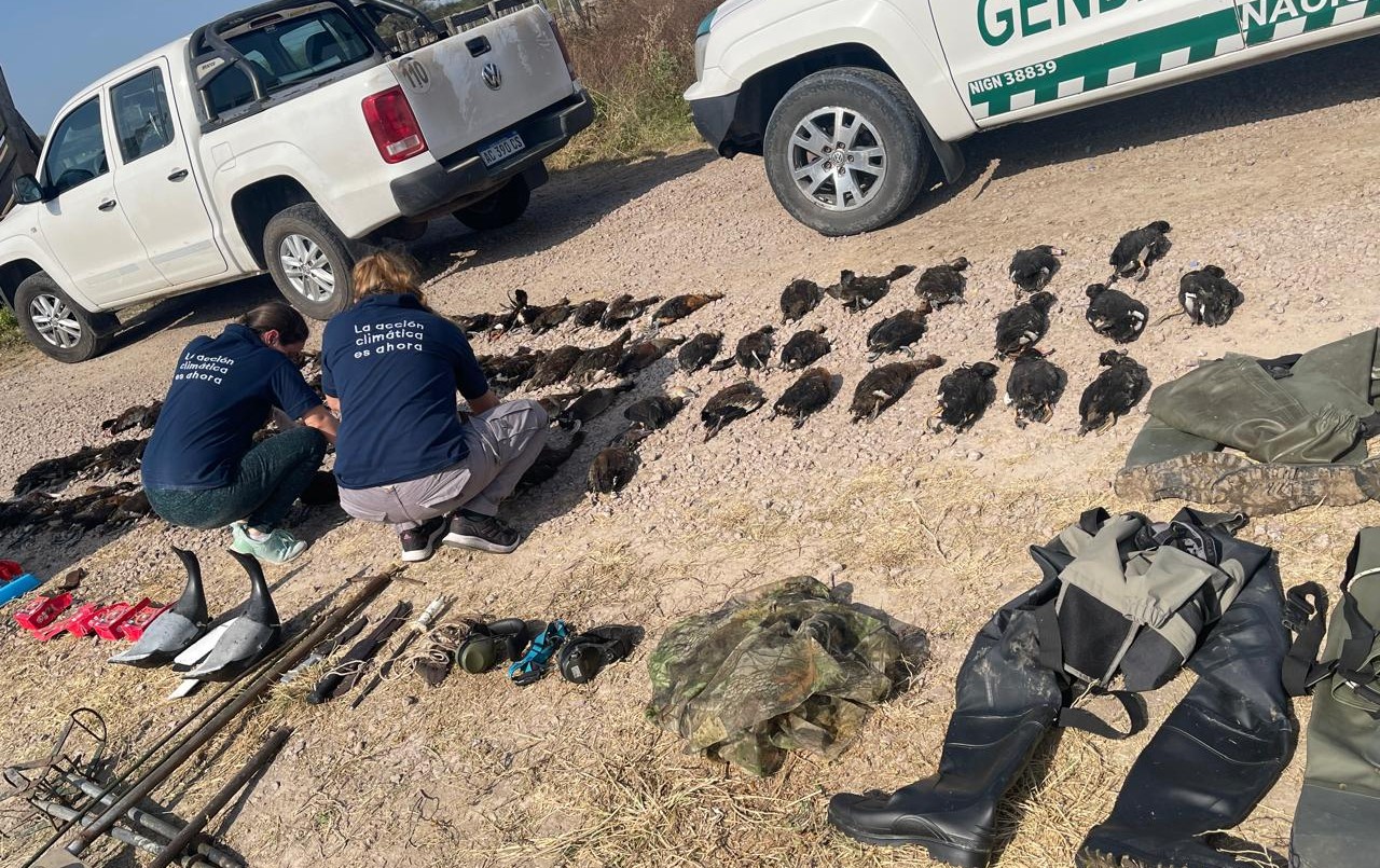 Turistas extranjeros demorados por cazar ilegalmente en el norte de Santa Fe | Rosario y la región