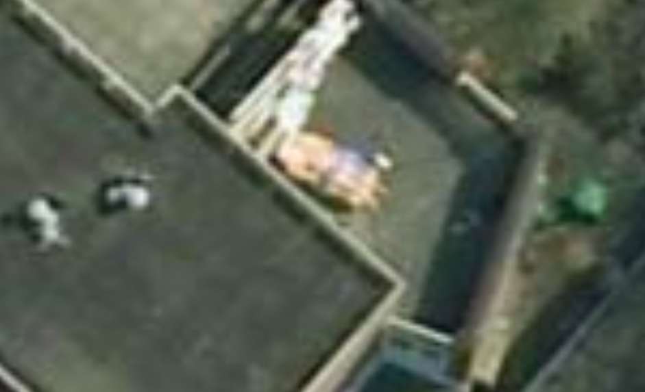 Estaba desnudo en el patio de su casa y lo captó una imagen de Google: la Justicia rechazó su demanda | Información General