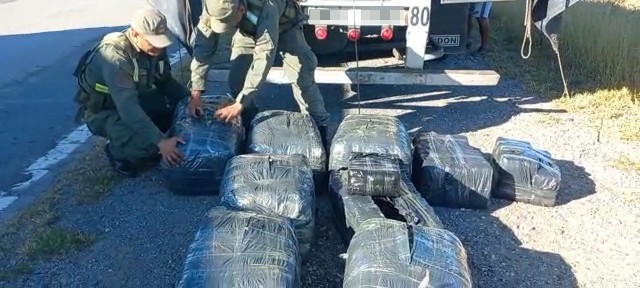 Gendarmería encontró cargamento de 2.450 kilos de hojas de coca con un valor de 113 millones de pesos | Rosario y la región