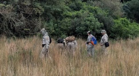 Por qué desaparecen los niños: un flagelo global que sacude a la Argentina y la región | Información General