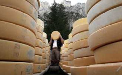 Rematan 680.000 kilos de quesos SanCor: por qué y de cuánto será el precio base | Información General