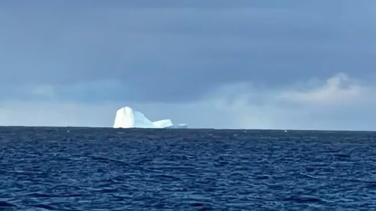 Alerta en Ushuaia por la aparición de un iceberg en la costa | Información General
