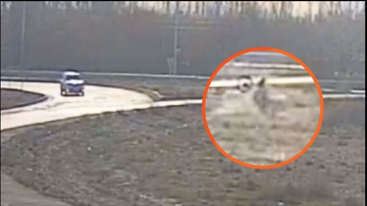 Tragedia en Neuquén: cayó con su moto a una alcantarilla, nadie lo encontró y murió | Información General