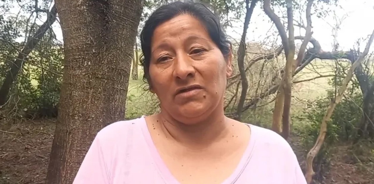 Caso Loan: Laudelina habría confesado que el nene fue atropellado | Información General