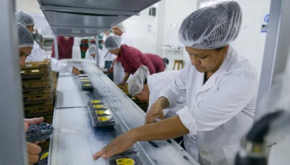 Empresarios pymes advierten "un segundo semestre del infierno" | Economía y negocios