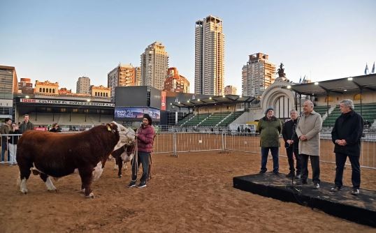 Lautaro Místico, el primer Hereford de la 136⁰ Exposición Rural | Información General