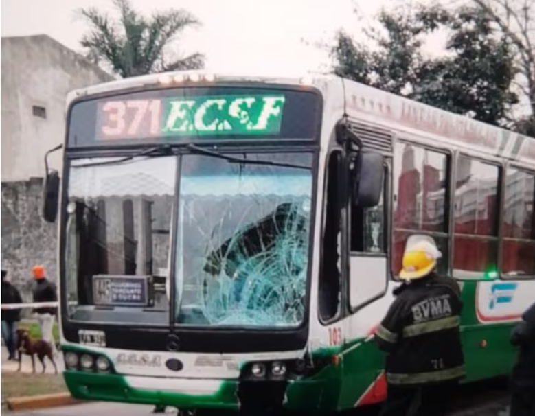 La atropelló un colectivo y murió tras agonizar 20 días: "No se hicieron cargo desde la empresa ni el chofer" | Información General
