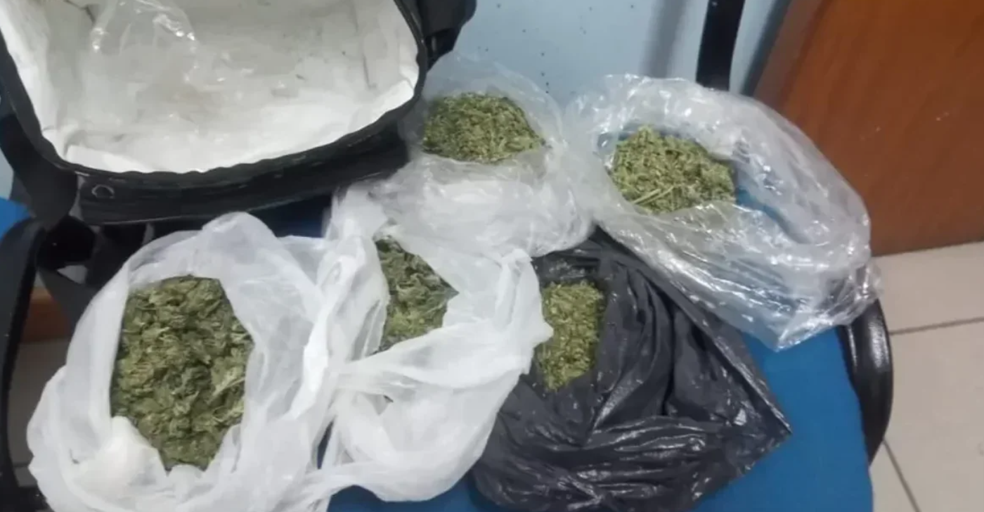 Viajaban en micro con marihuana y hongos alucinógenos para vender | Información General