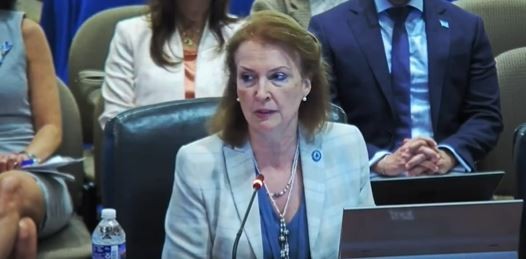 El reclamo de Mondino en la OEA: "Permitan a los asilados salir de Venezuela" | Política