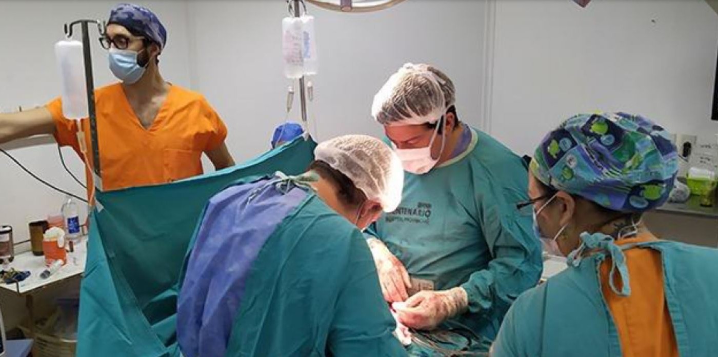 Santa Fe posibilitó uno de cada seis trasplantes en el país durante julio | Rosario y la región