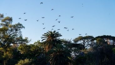 Tiempo en Rosario: se viene un martes cálido | Rosario y la región