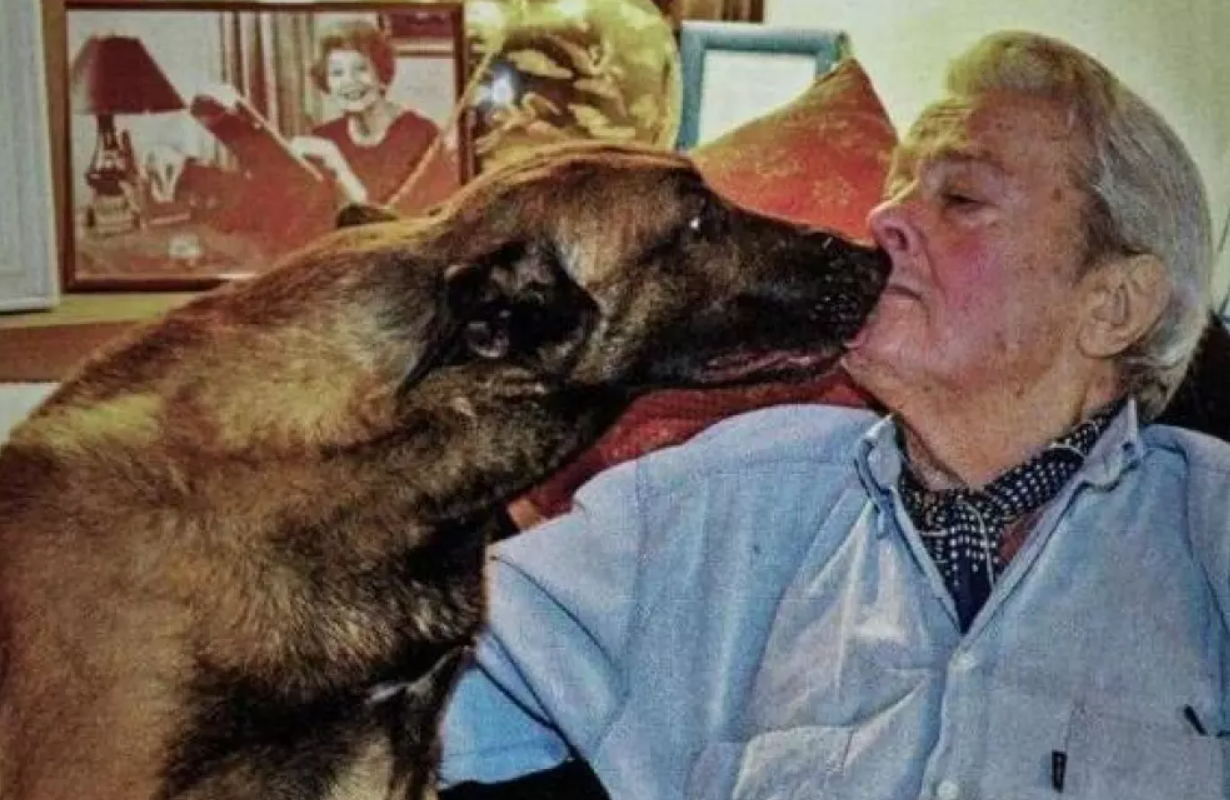 Qué pasará con el perro de Alain Delon: el actor pidió que sea sacrificado para que no muera "de pena" | Espectáculos