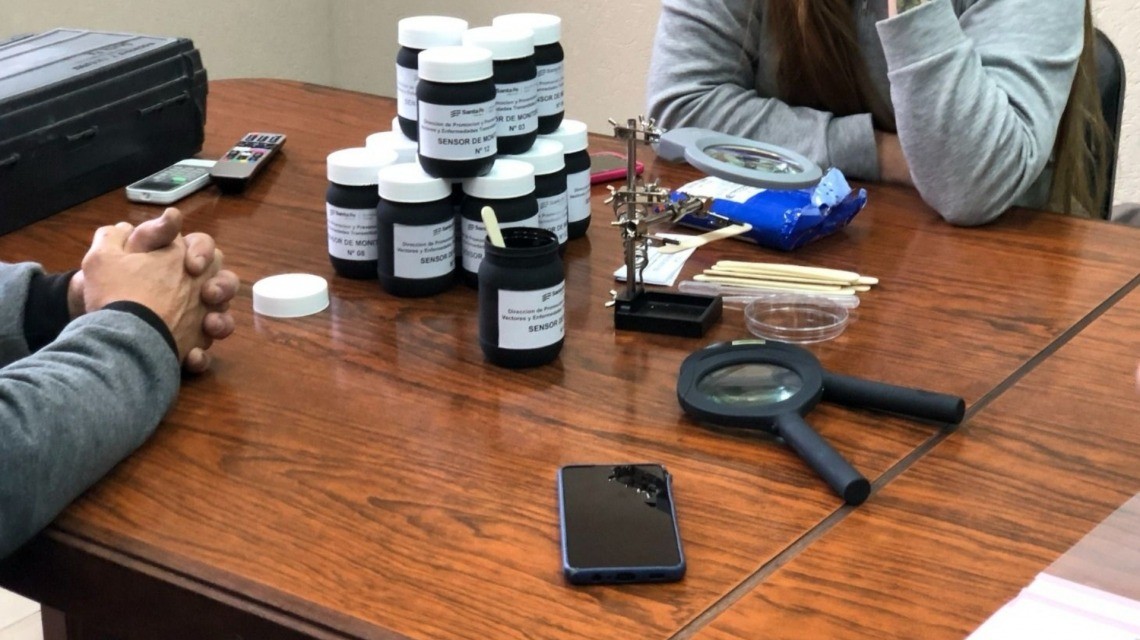 Dengue: Provincia coloca trampas para detectar huevos de mosquito y establecer alertas tempranas | Rosario y la región