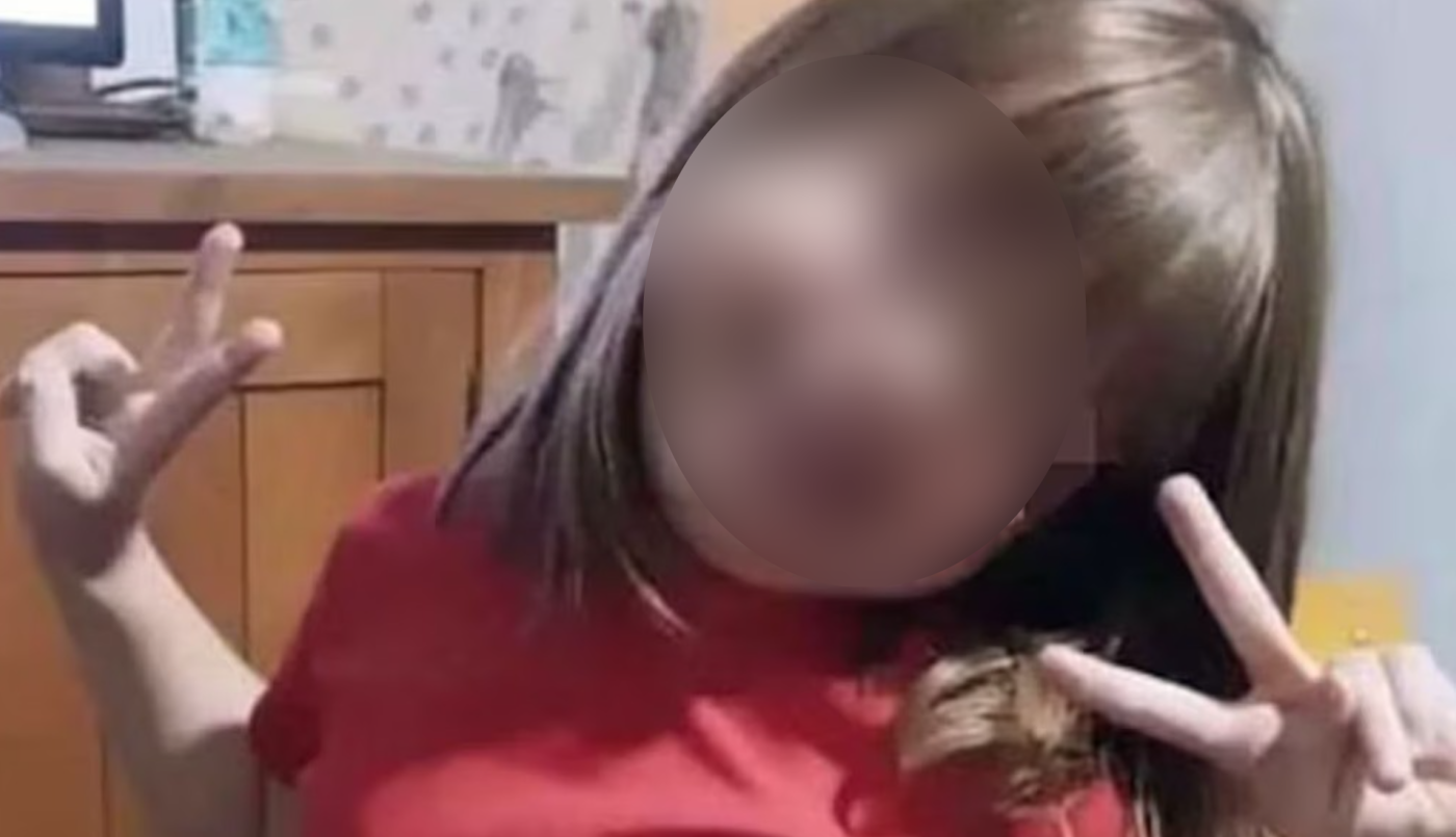 Hallaron en Chile a nena de 7 años desaparecida en Pilar: detuvieron a su madre | Información General