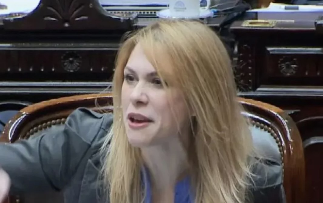 Lemoine despotricó contra Arrieta: "La diputada del patito está desequilibrada mentalmente" | Política y Economía