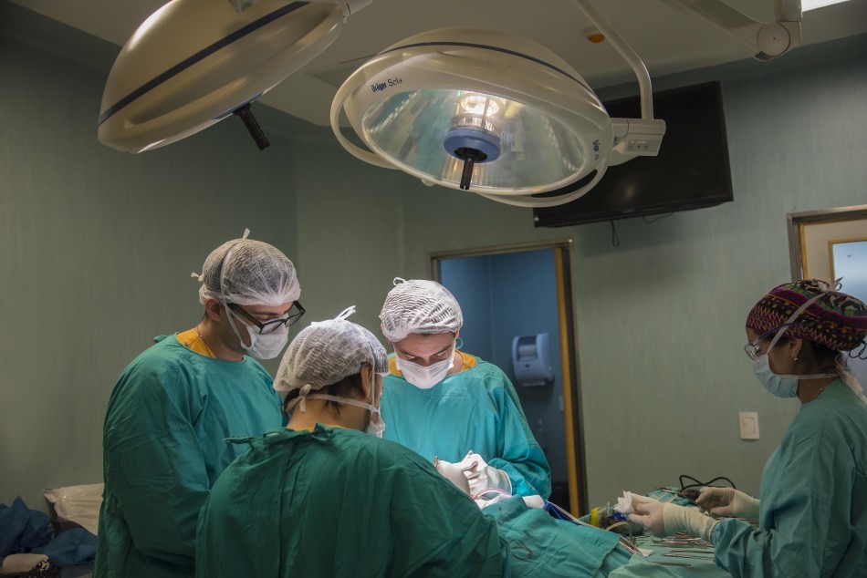 Donación de órganos y tejidos: Rosario se ubica entre las primeras ciudades del país | Rosario y la región