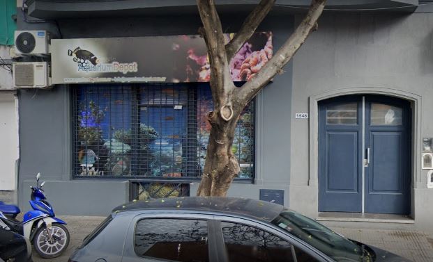 Clausuraron un local por criar y comerciar especies marinas clandestinamente | Información General