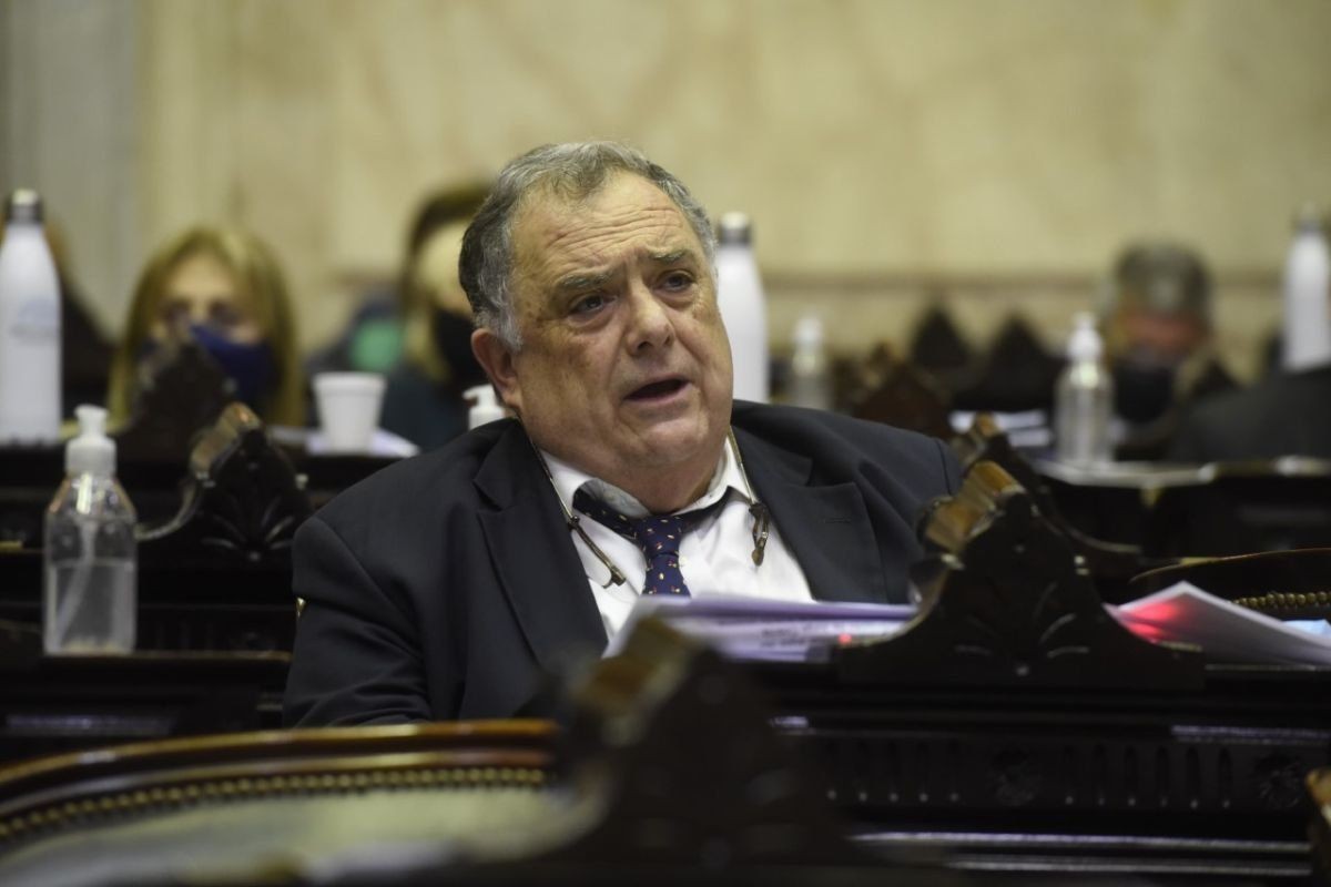 Valdés: "Cristina tiene liderazgo, y junto a Perón y Evita quedarán en la historia" | Política y Economía