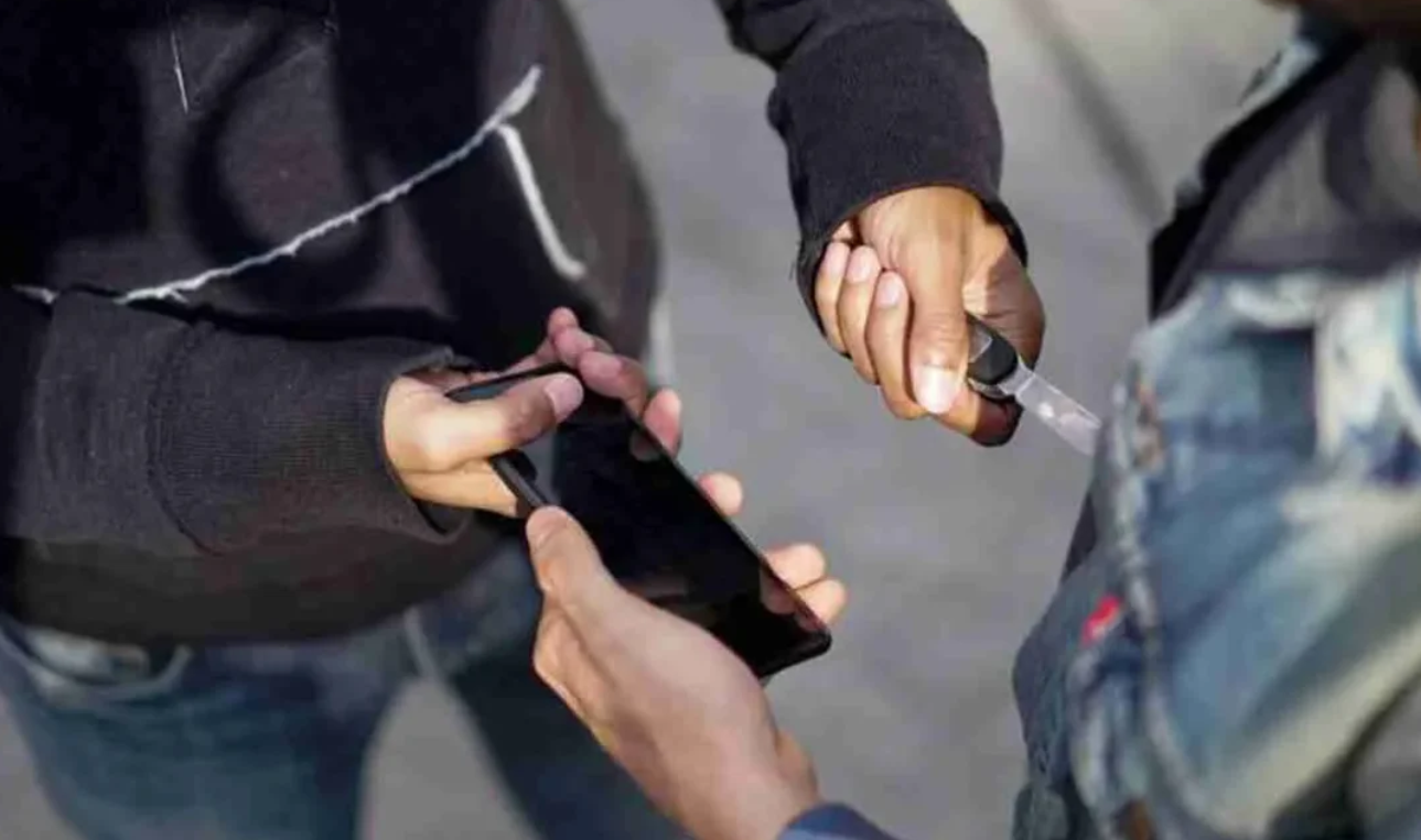 Informe: Mar del Plata y La Plata son las ciudades bonaerenses donde más creció el delito | Información General