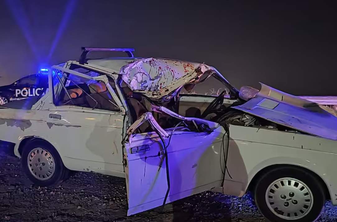 Chocaron con caballos sueltos en la ruta: murió una nena de 4 años | Información General