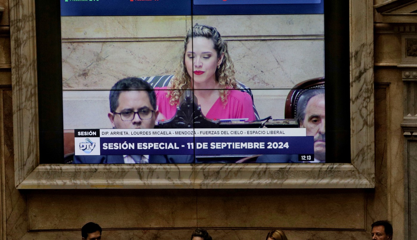 Los votos más curiosos en Diputados: los "radicales con Peluca", el larretismo y Arrieta | Política y Economía