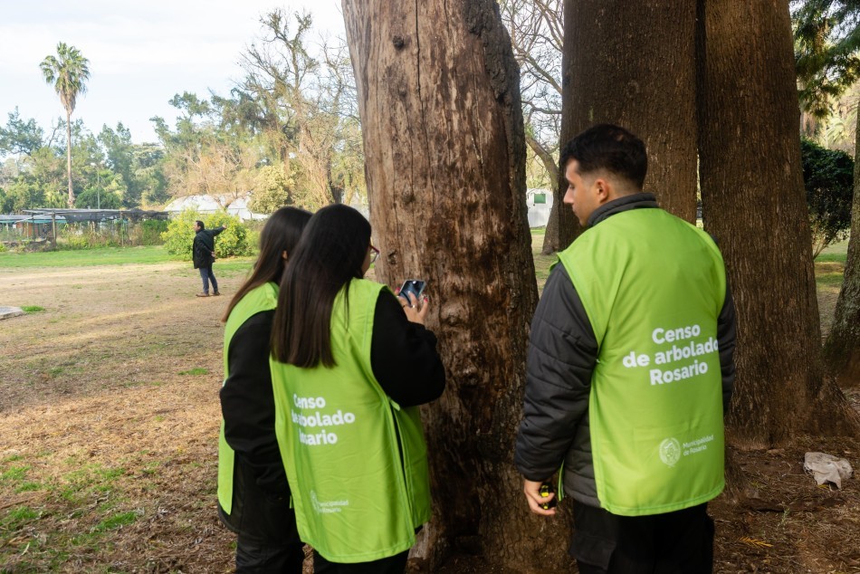 Comenzó el censo de árboles en los espacios verdes de la ciudad | Rosario y la región
