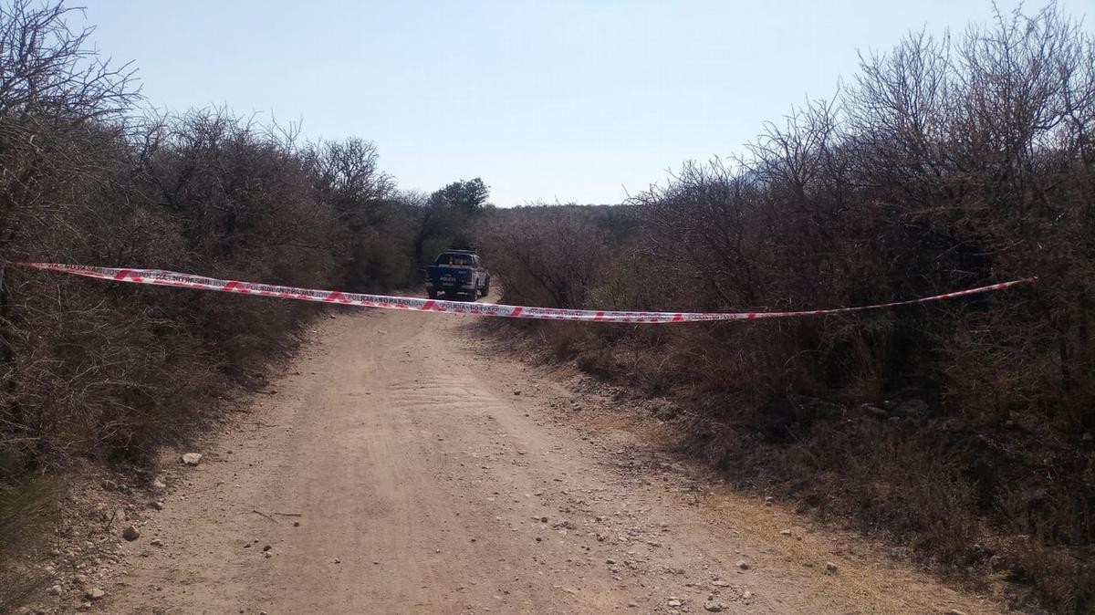 Dólares e incendio: hipótesis del hallazgo de una escritora asesinada en Córdoba | Información General