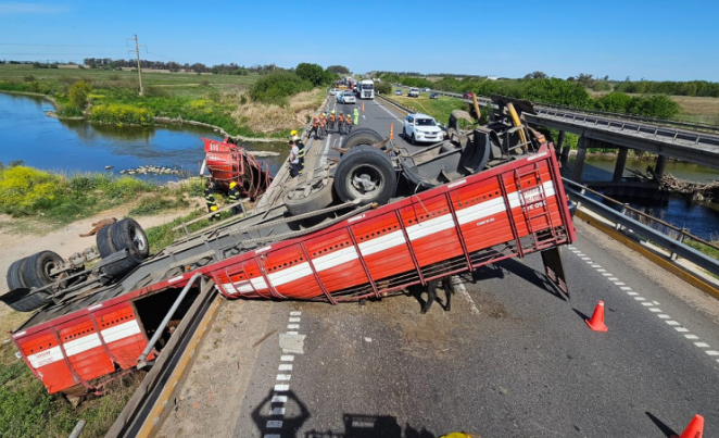 Autopista Rosario - Buenos Aires: volcó un camión que transportaba ganado y los vecinos aprovecharon para faenar las vacas | Rosario y la región