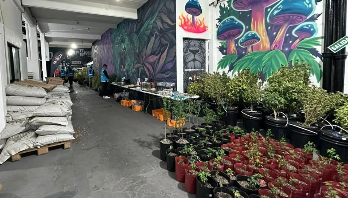 Desbarataron una banda narco que vendía “dulces mágicos” en redes sociales | Información General