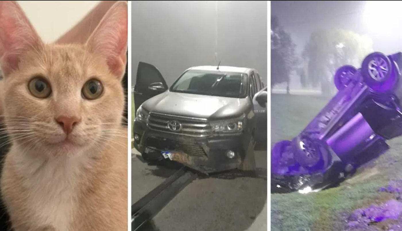 Vieron un accidente y quisieron ayudar: quienes volcaron eran ladrones en fuga y les robaron | Información General