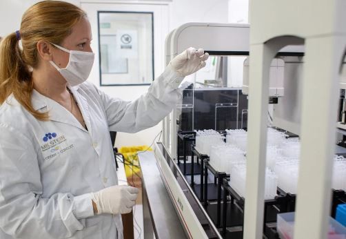 Se reportaron seis nuevos casos de la viruela del mono, cinco en el AMBA | Información General