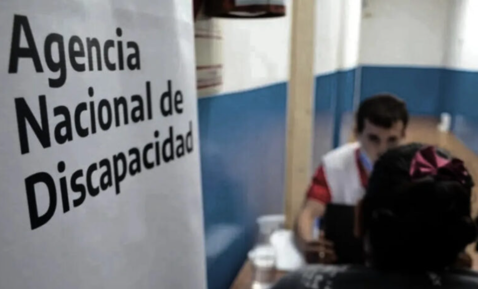 Irregularidades: el Gobierno nacional avanzará con la baja de 200.000 pensiones por discapacidad | Política y Economía