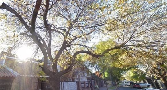 Asaltaron y golpearon a una fiscal delante de su esposo en su casa de Castelar | Información General