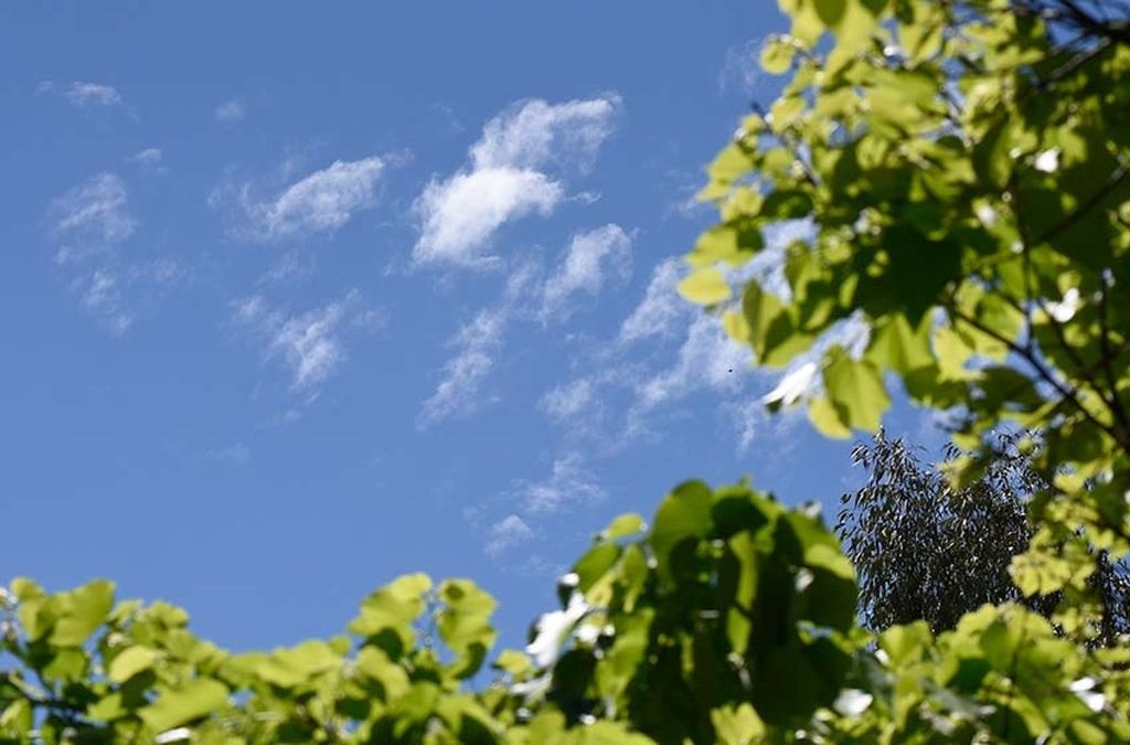 Tiempo en Rosario: martes caluroso con el cielo parcialmente nublado | Rosario y la región